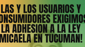 NOSOTRXS APOYAMOS LA ADHESIÓN DE LA PROVINCIA DE TUCUMÁN A LA LEY MICAELA